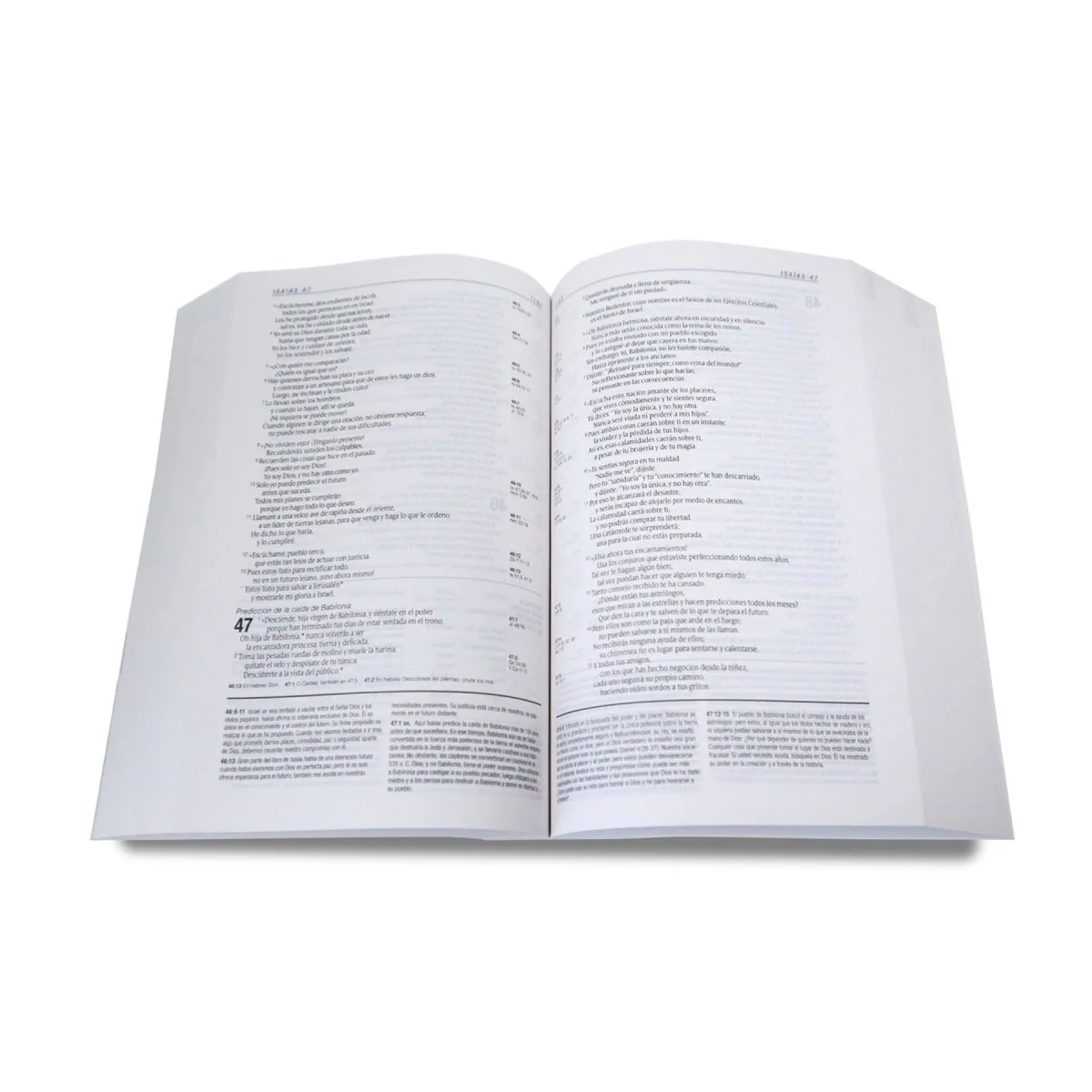 BIBLIA DE ESTUDIO NTV DIARIO VIVIR TAMAÑO PERSONAL/  RUSTICA