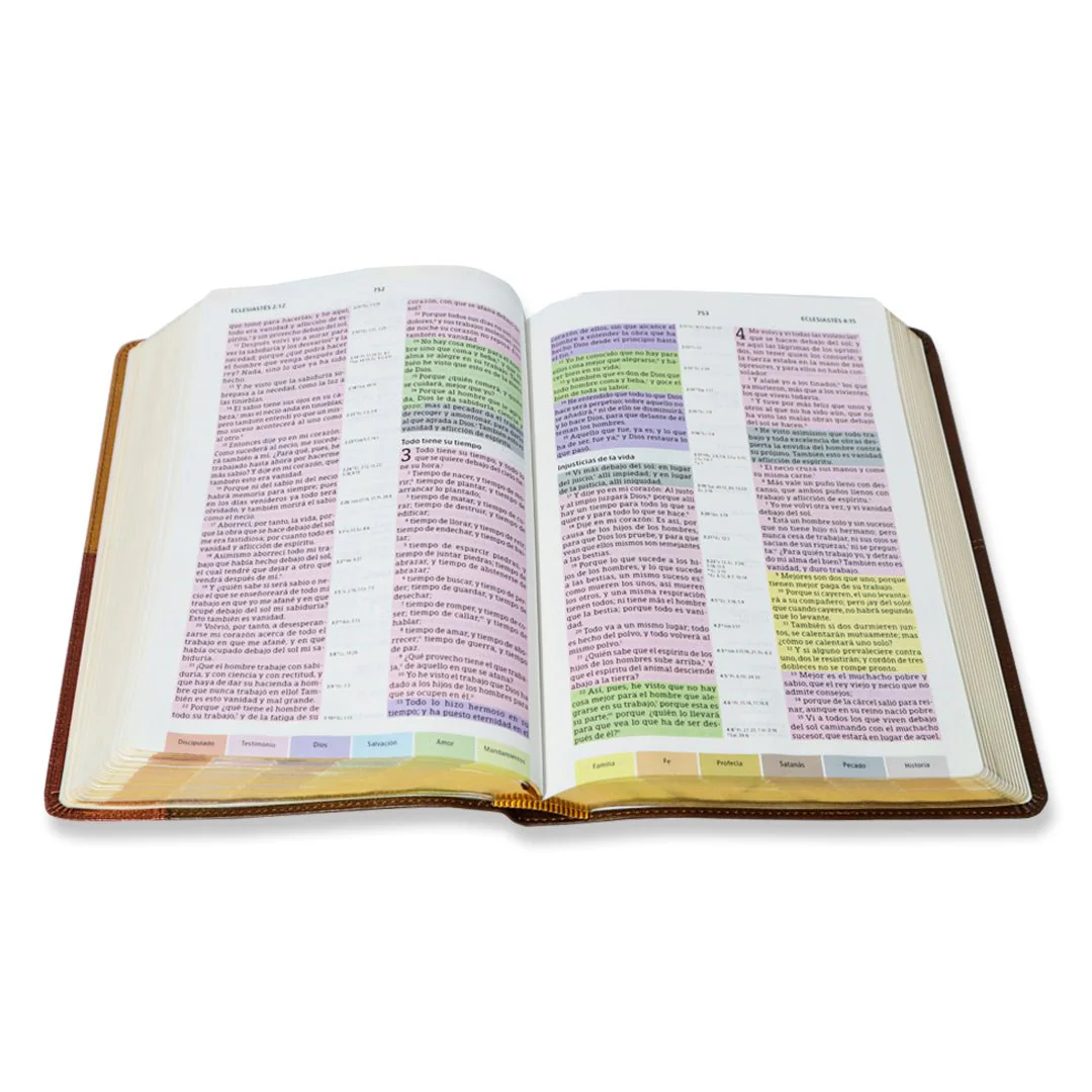 BIBLIA DE ESTUDIO ARCOIRIS RV1960/ TERRACOTA SIMIL PIEL