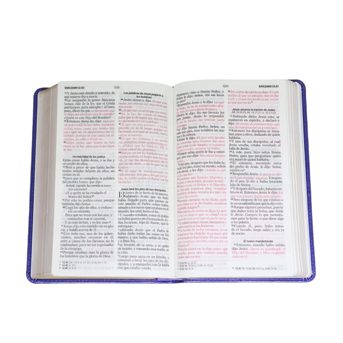 BIBLIA REINA VALERA 1960 LETRA GRANDE MANUAL CLÁSICA