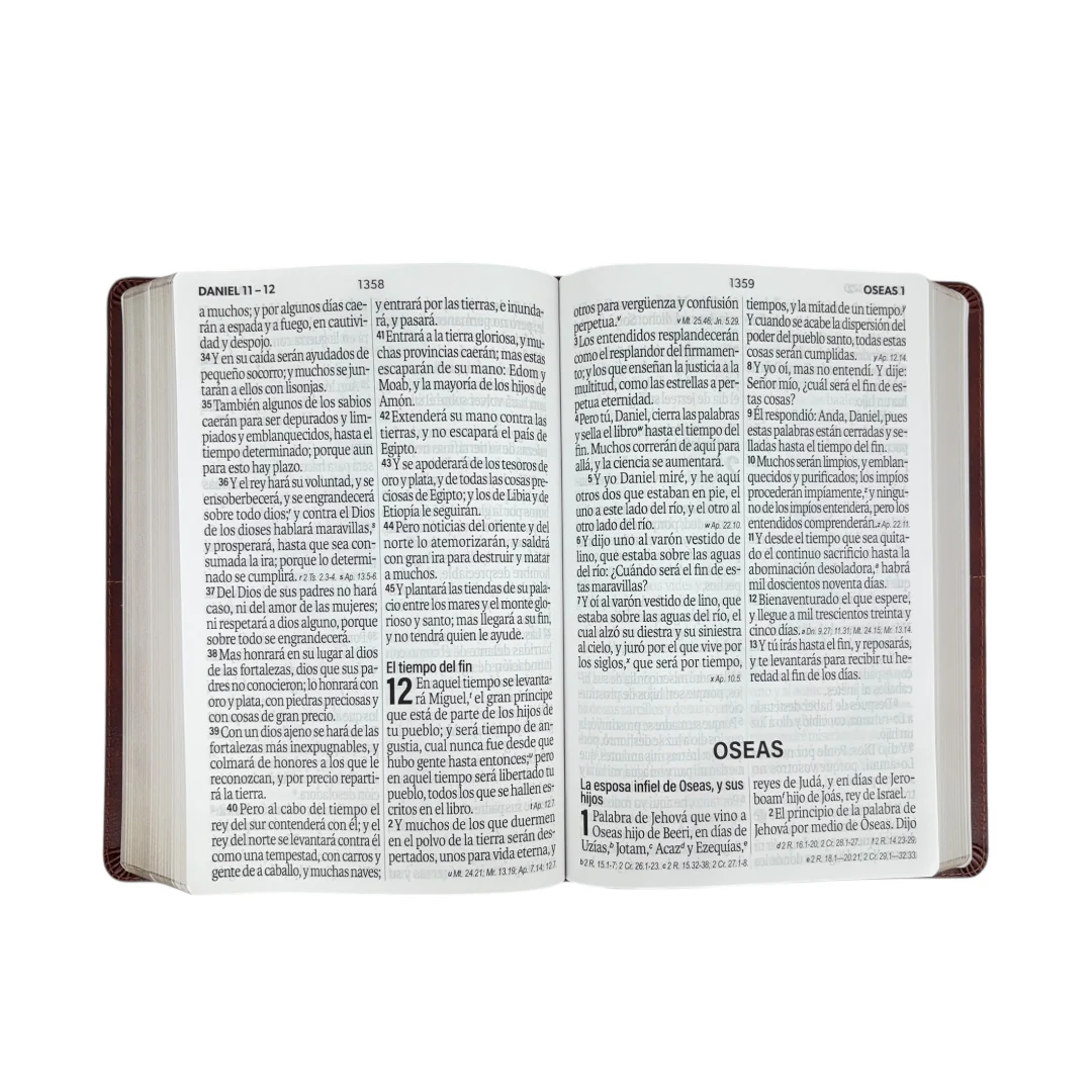 BIBLIA REINA VALERA 1960 LETRA SÚPER GIGANTE IMITACION PIEL CANTO DORADO CAFE GEO