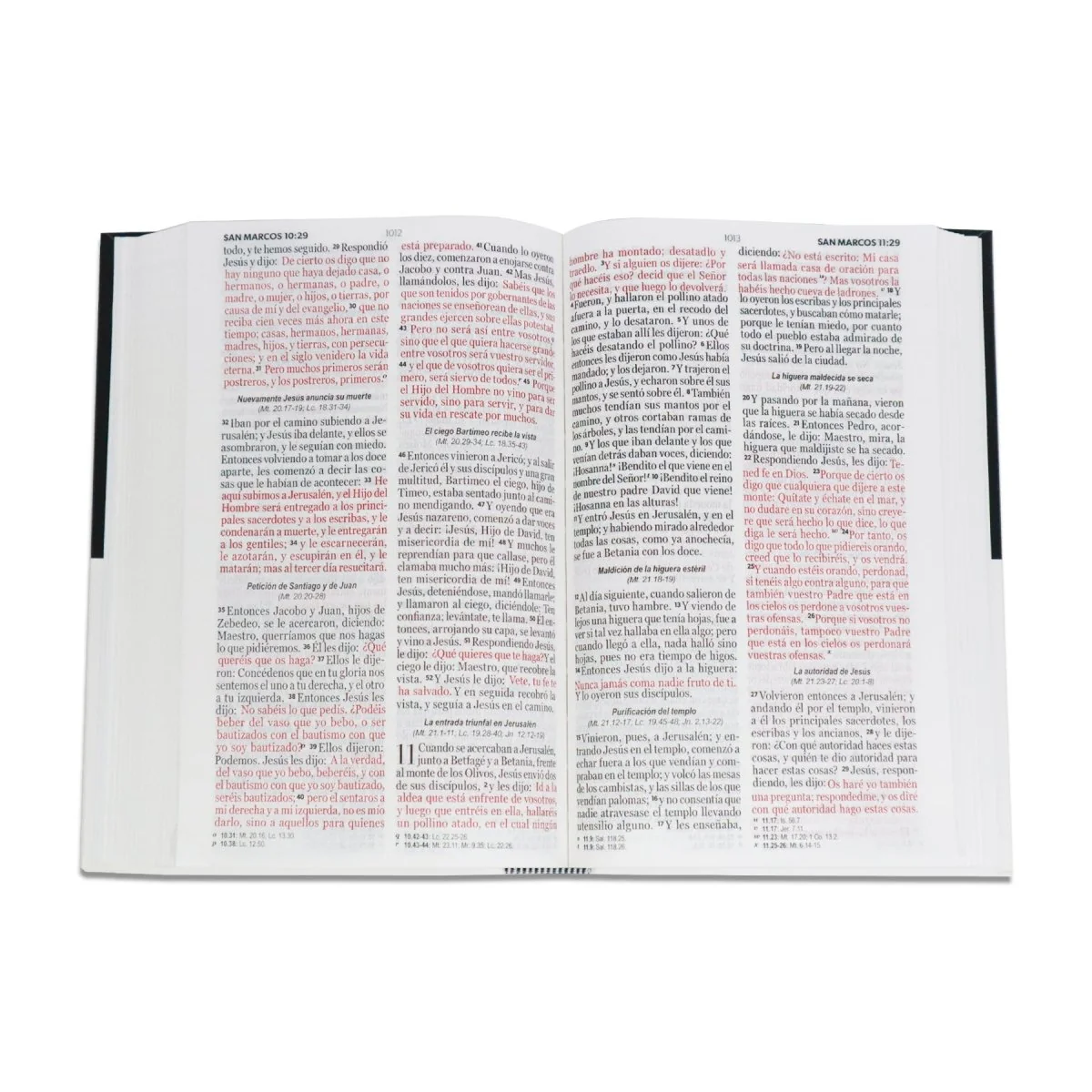 BIBLIA REINA VALERA 1960 LETRA GRANDE MANUAL ECOFLEX NEGRO BLANCO/ESPADA