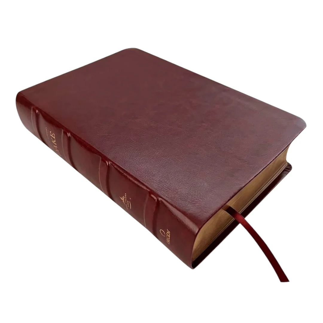 Biblia Reina Valera 1960 Estudio Dake Piel Marrón