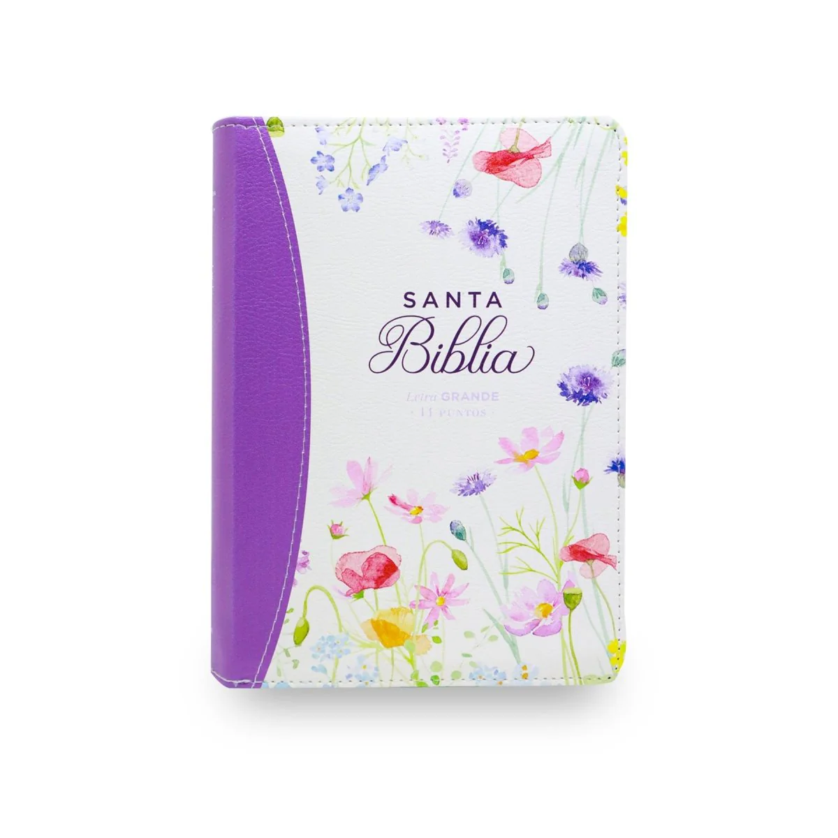 BIBLIA REINA VALERA 1960 LETRA GRANDE COMPACTA CIERRE  CANTO PINTADO