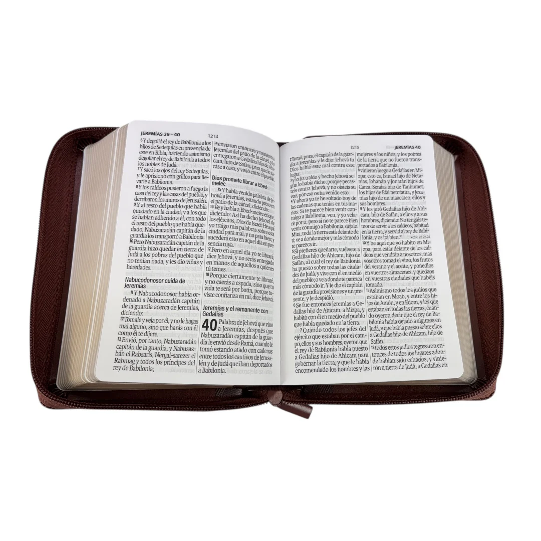 BIBLIA REINA VALERA 1960 LETRA GRANDE IMITACION PIEL COMPACTA CANTO DORADO DISEÑO GEOMETRICO