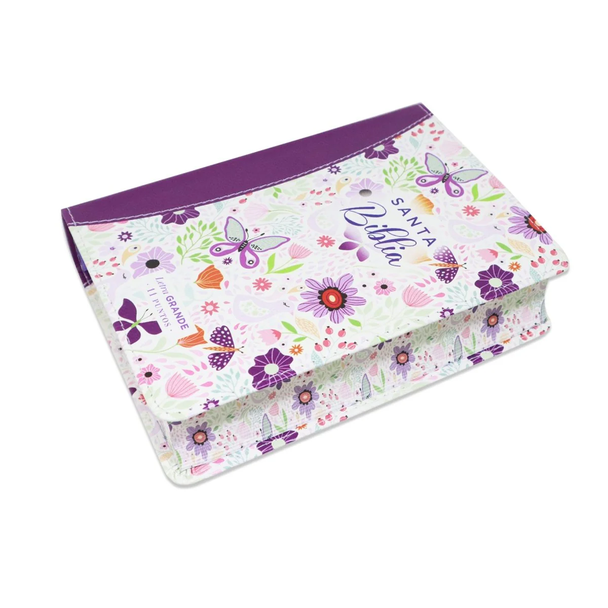 BIBLIA REINA VALERA 1960 LETRA GRANDE COMPACTA/ CANTO PINTADO