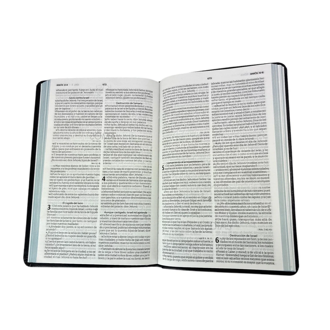 BIBLIA REINA VALERA 1960 MEDIANA IMITACION PIEL NEGRO