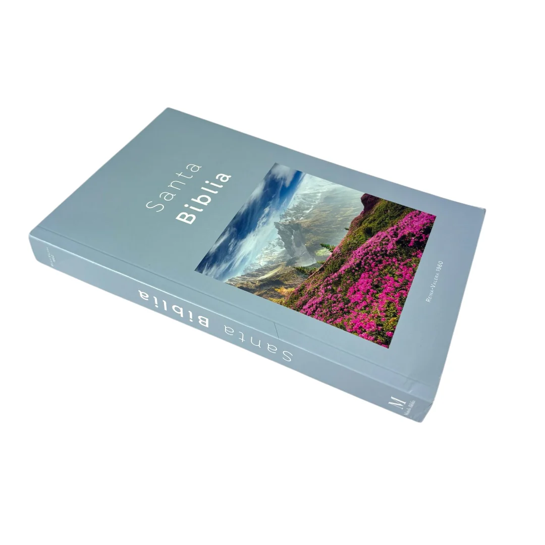 BIBLIA REINA VALERA 1960 ECONOMICA RUSTICA DISEÑOS