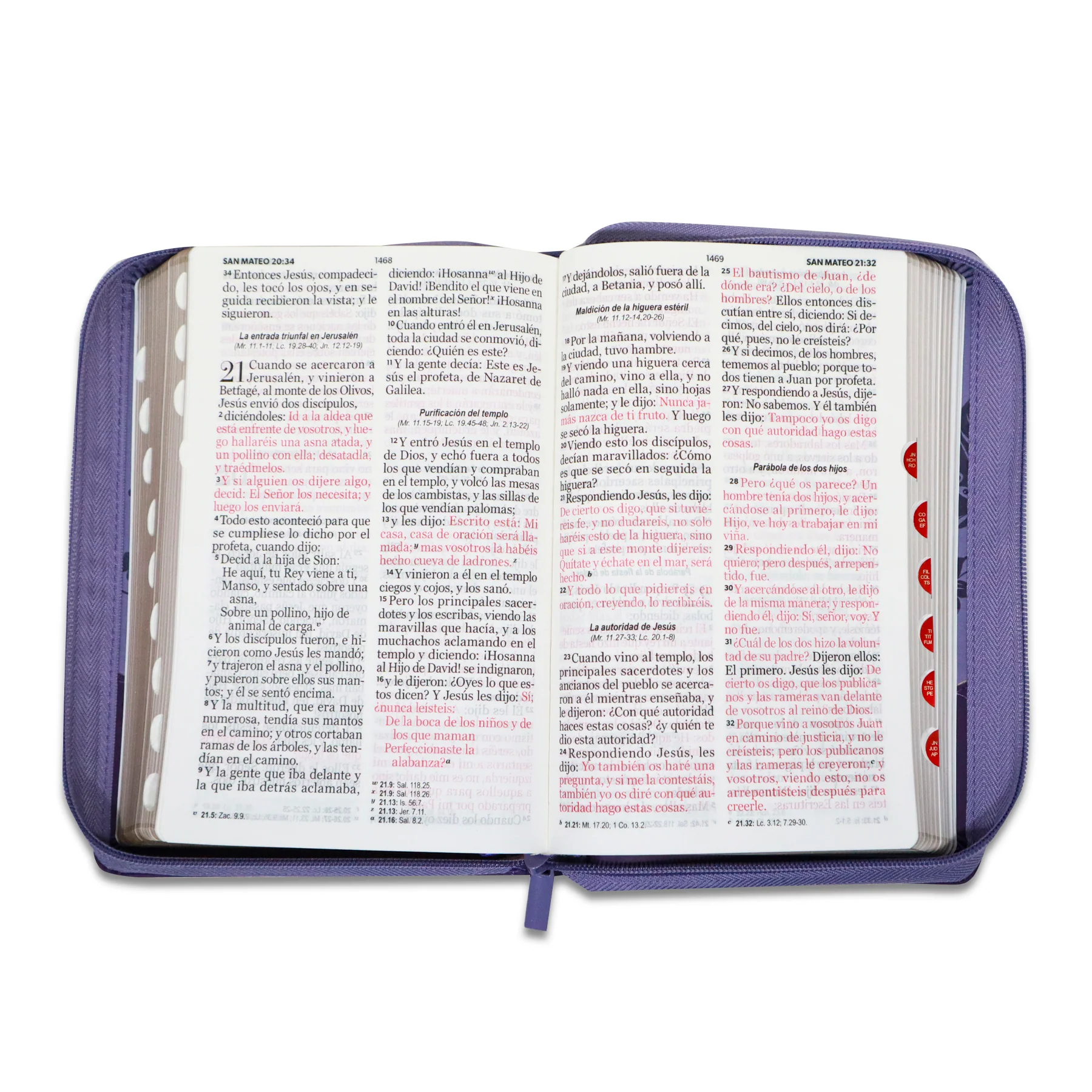 BIBLIA REINA VALERA 1960 GIGANTE LILA/LILA CON FLORES