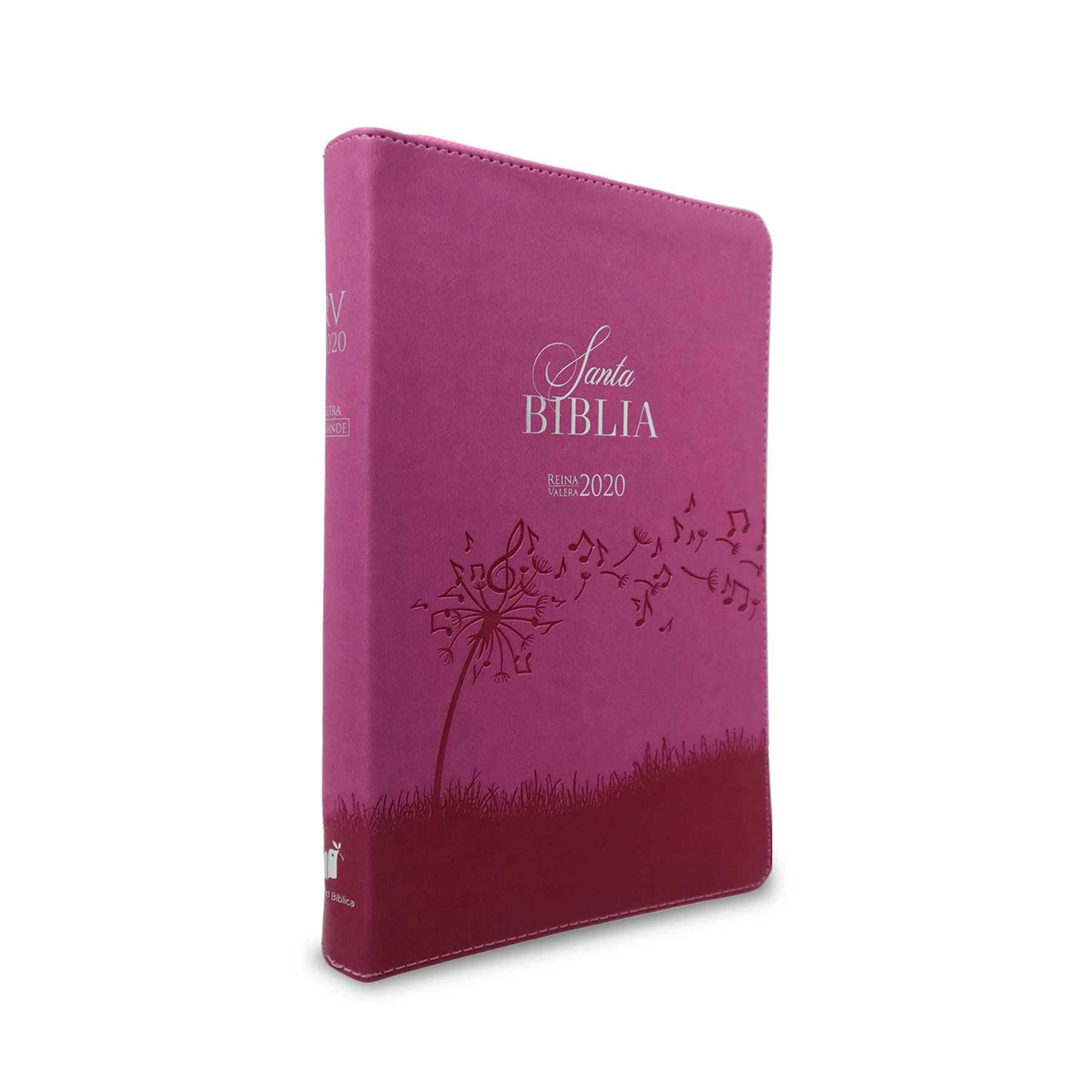 SANTA BIBLIA REINA VALERA 2020