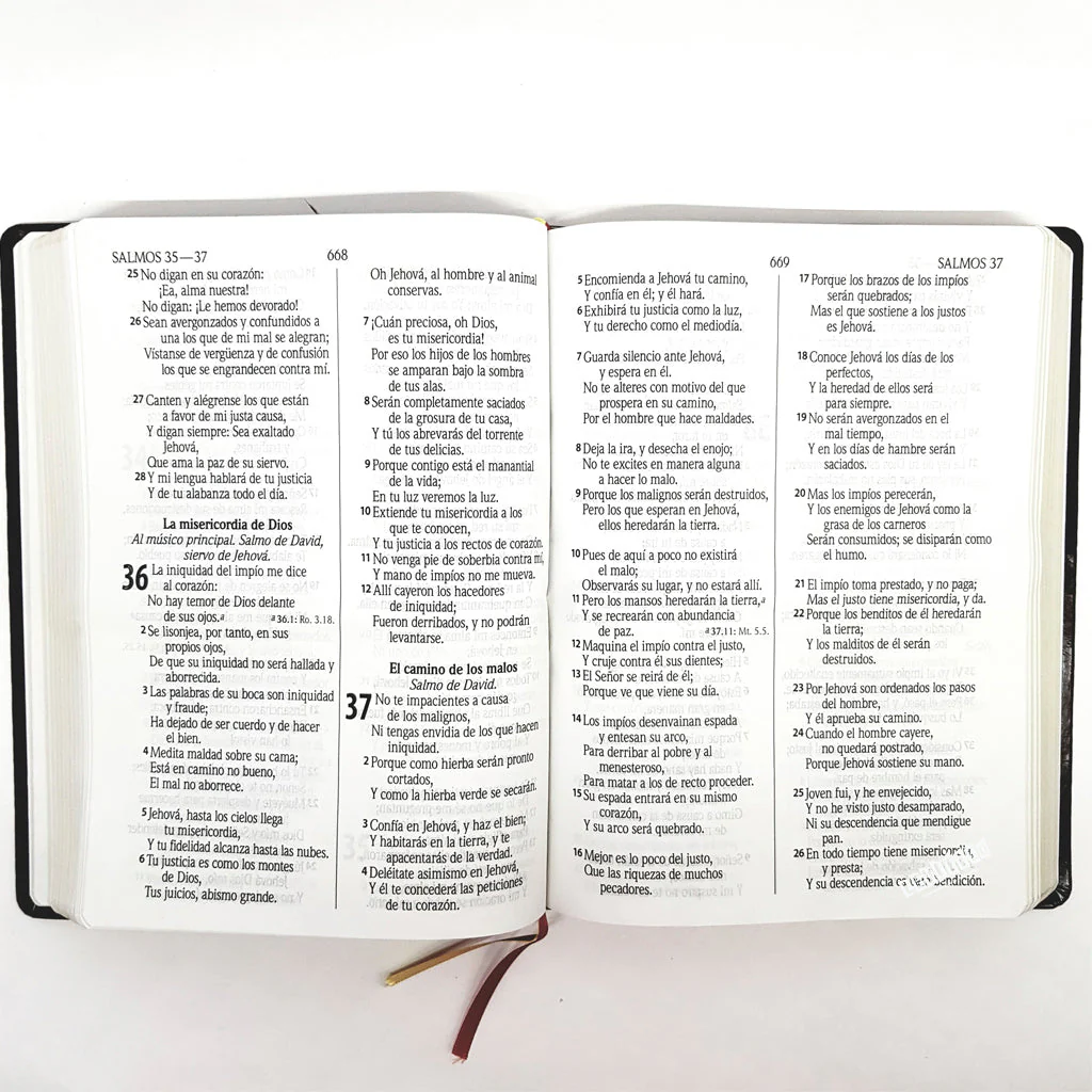 Biblia Letra gigante, Reina-Valera 1960 LUJO