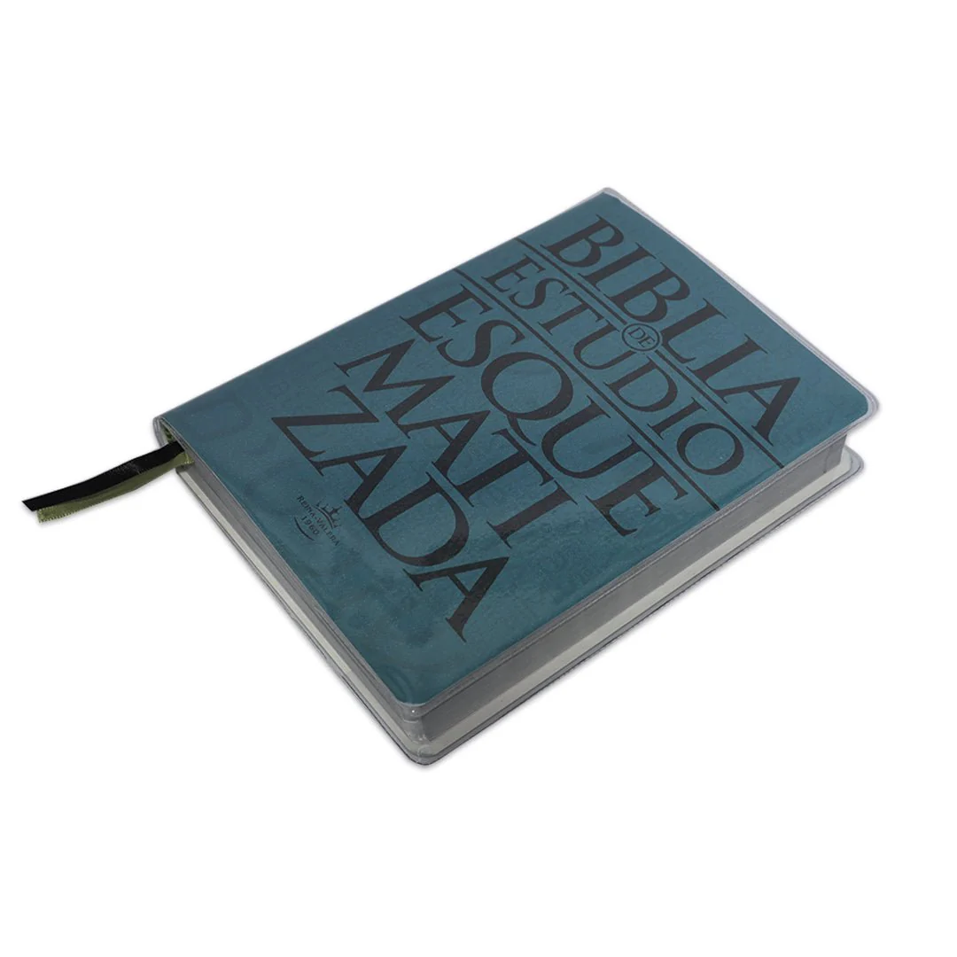 BIBLIA DE ESTUDIO ESQUEMATIZADA RVR1960