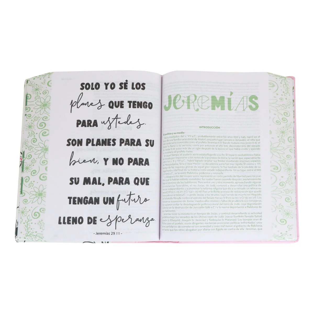 BIBLIA ARTE REINA VALERA CONTEMPORANEA TAPA DURA ROSA