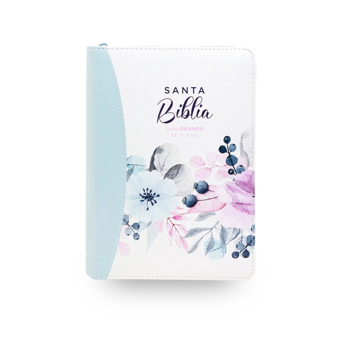 BIBLIA REINA VALERA 1960 LETRA GRANDE COMPACTA CIERRE  CANTO PINTADO