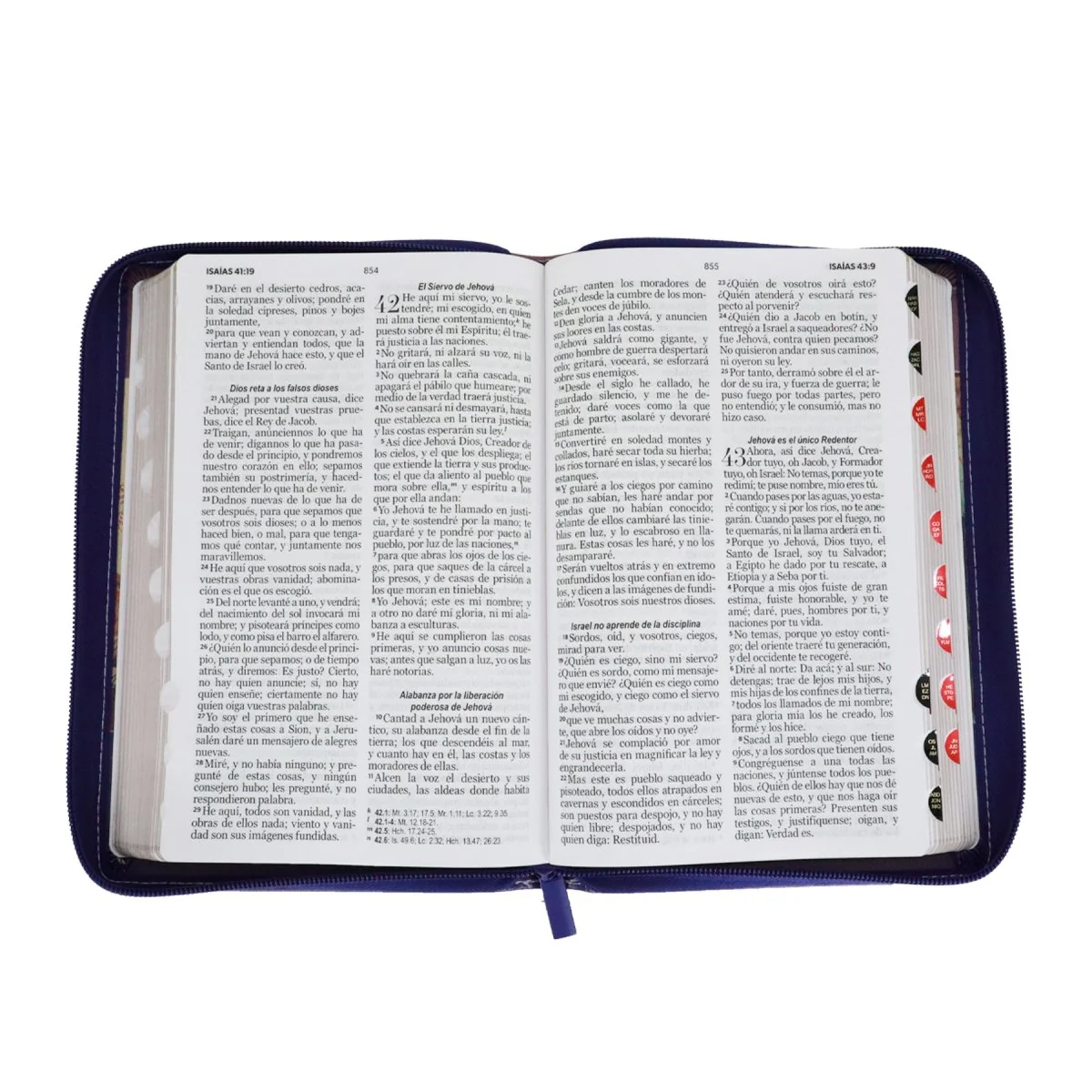 BIBLIA REINA VALERA 1960 LETRA GRANDE MANUAL C/CIERRE INDICE FANTASÍA LILA