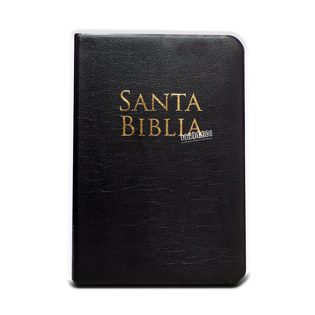 Biblia Reina Valera 1960  Letra Grande Tamaño Manual c/Referencias vinil