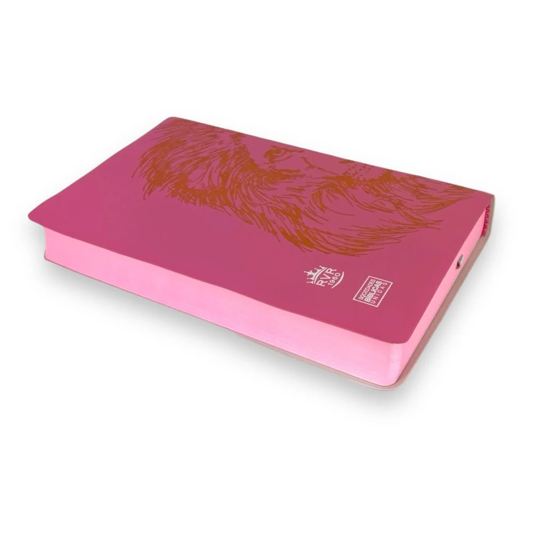 BIBLIA REINA VALERA 1960 REY DE REYES ROSA
