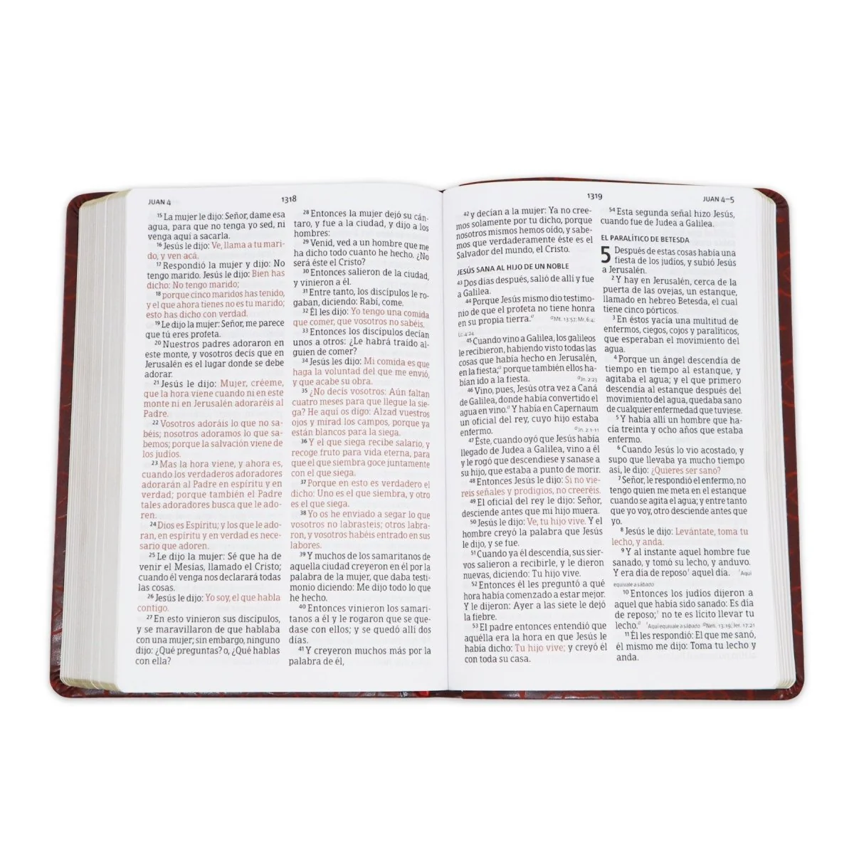 BIBLIA REINA VALERA 1960 LETRA GIGANTE SIMIL PIEL NEUTRAL