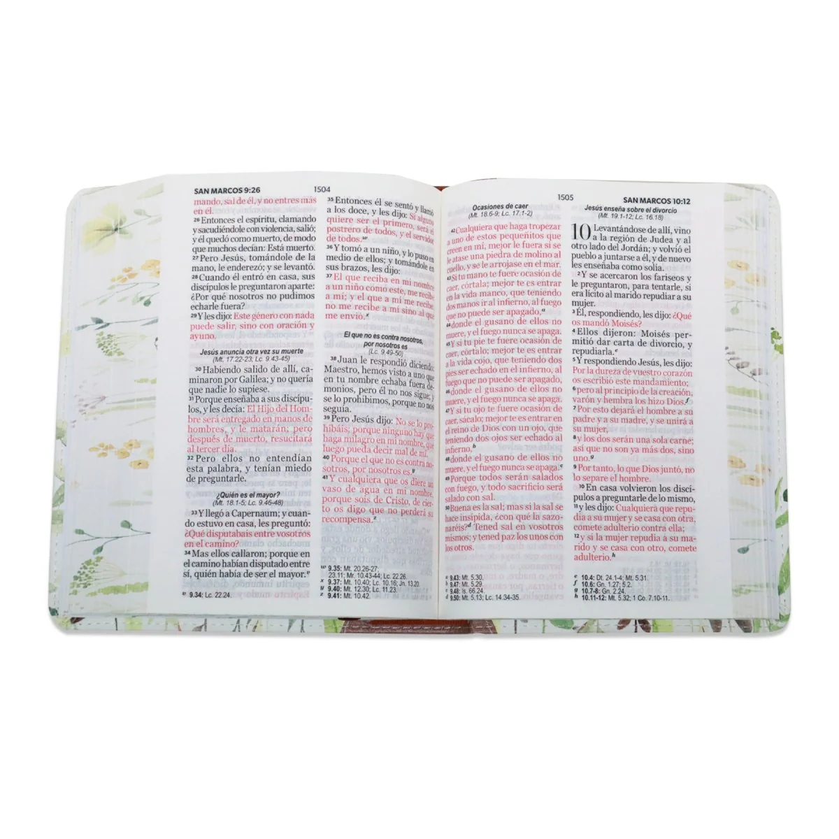 BIBLIA REINA VALERA 1960 LETRA GRANDE COMPACTA/ CANTO PINTADO