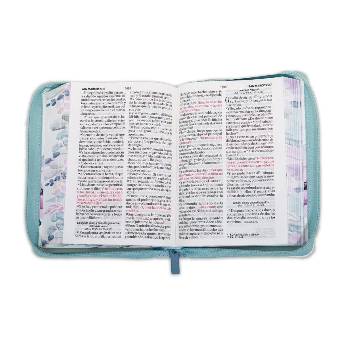 BIBLIA REINA VALERA 1960 LETRA GRANDE COMPACTA CIERRE  CANTO PINTADO