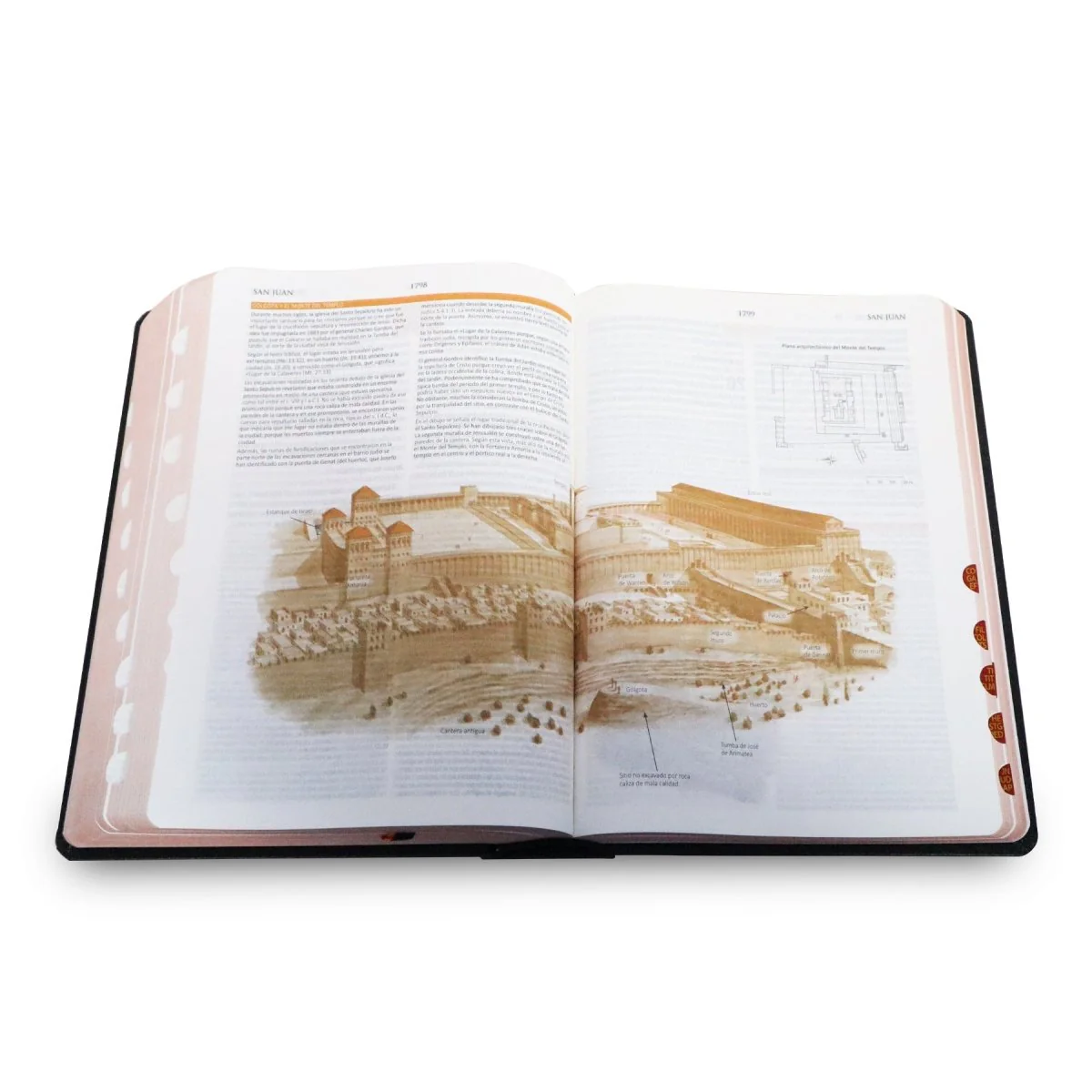 BIBLIA DE ESTUDIO TEOLOGICO REINA VALERA1960 TAPA DURA INDICE