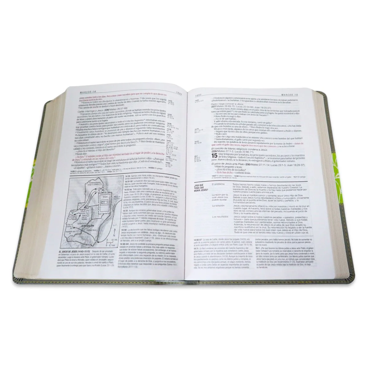 BIBLIA DE ESTUDIO NTV  DIARIO VIVIR SENTPIEL GRIS/VERDE