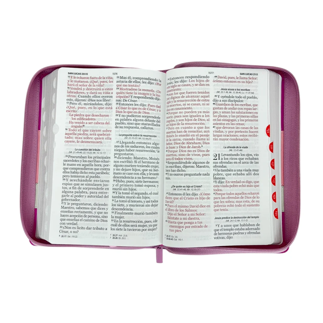 BIBLIA REINA VALERA 1960 LETRA GIGANTE IMITACION PIEL ICONIC C/CIERRE INDICE