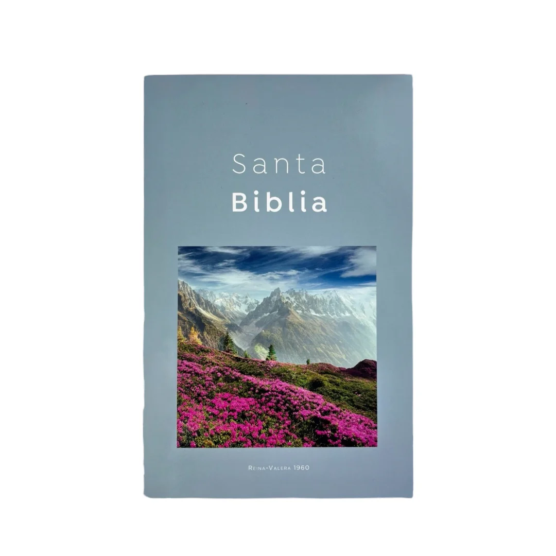 BIBLIA REINA VALERA 1960 ECONOMICA RUSTICA DISEÑOS