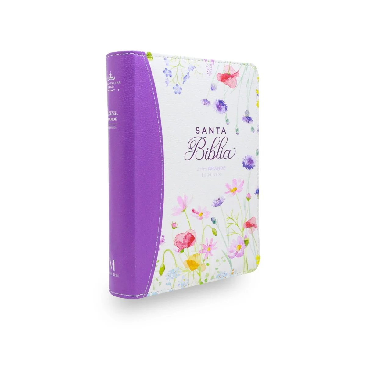 BIBLIA REINA VALERA 1960 LETRA GRANDE COMPACTA CIERRE  CANTO PINTADO