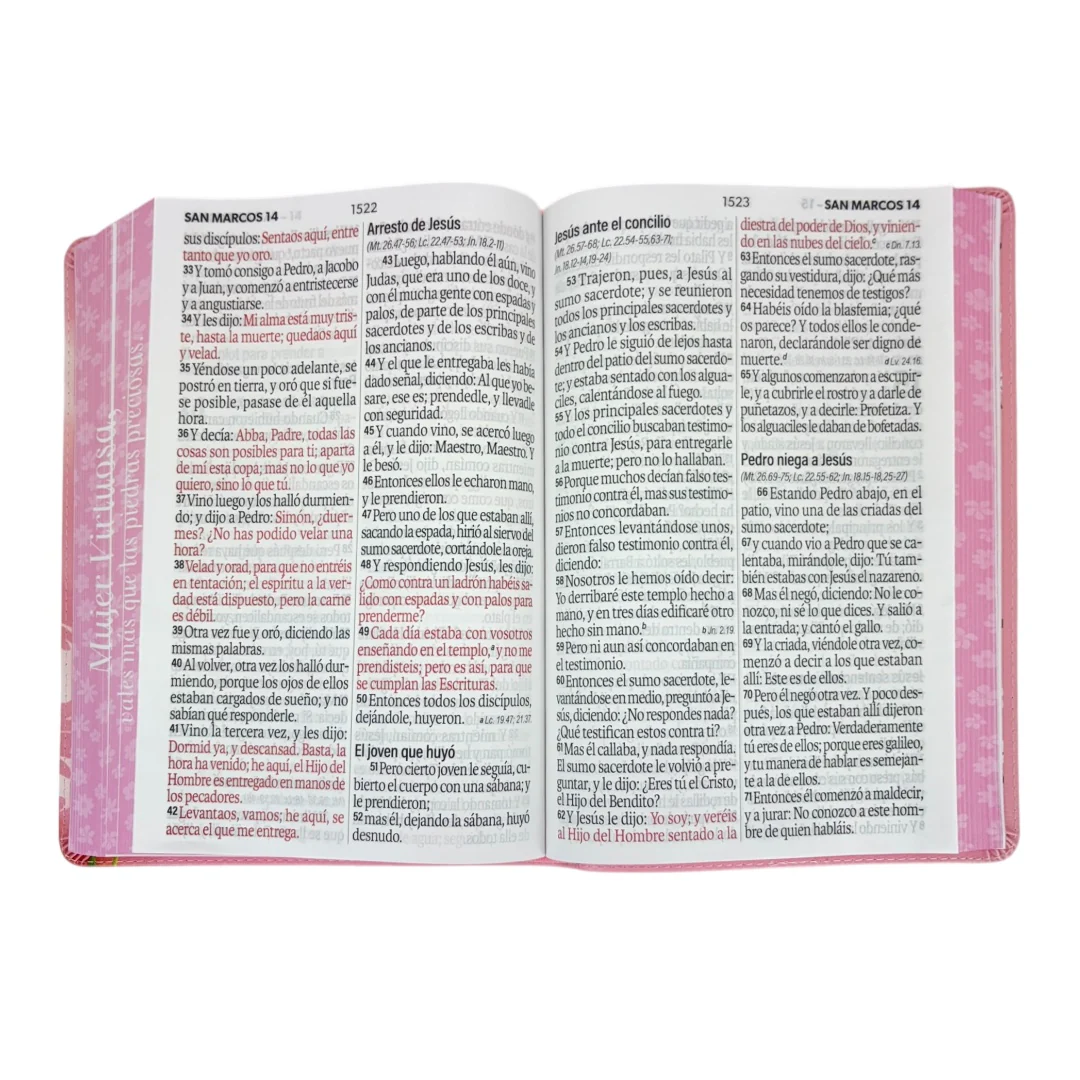BIBLIA LETRA SÚPER GIGANTE REINA VALERA 1960 MUJER VIRTUOSA CANTO PINTADO ROSA