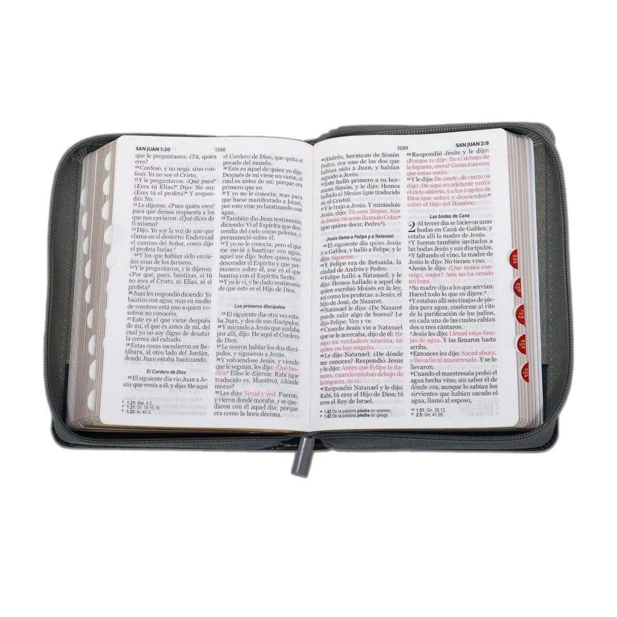 BIBLIA REINA VALERA 1960 COMPACTA LETRA GRANDE JEAN CIERRE/INDICE