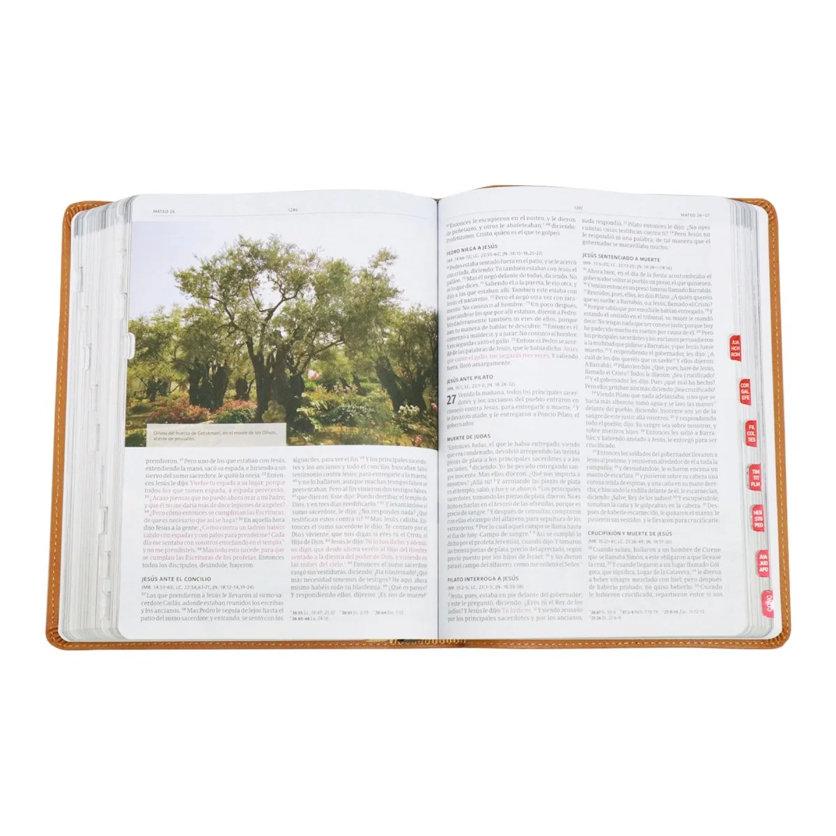 BIBLIA ILUSTRADA DE LA TIERRA SANTA  RVR1960, IMITACIÓN PIEL/CAFE CLARO