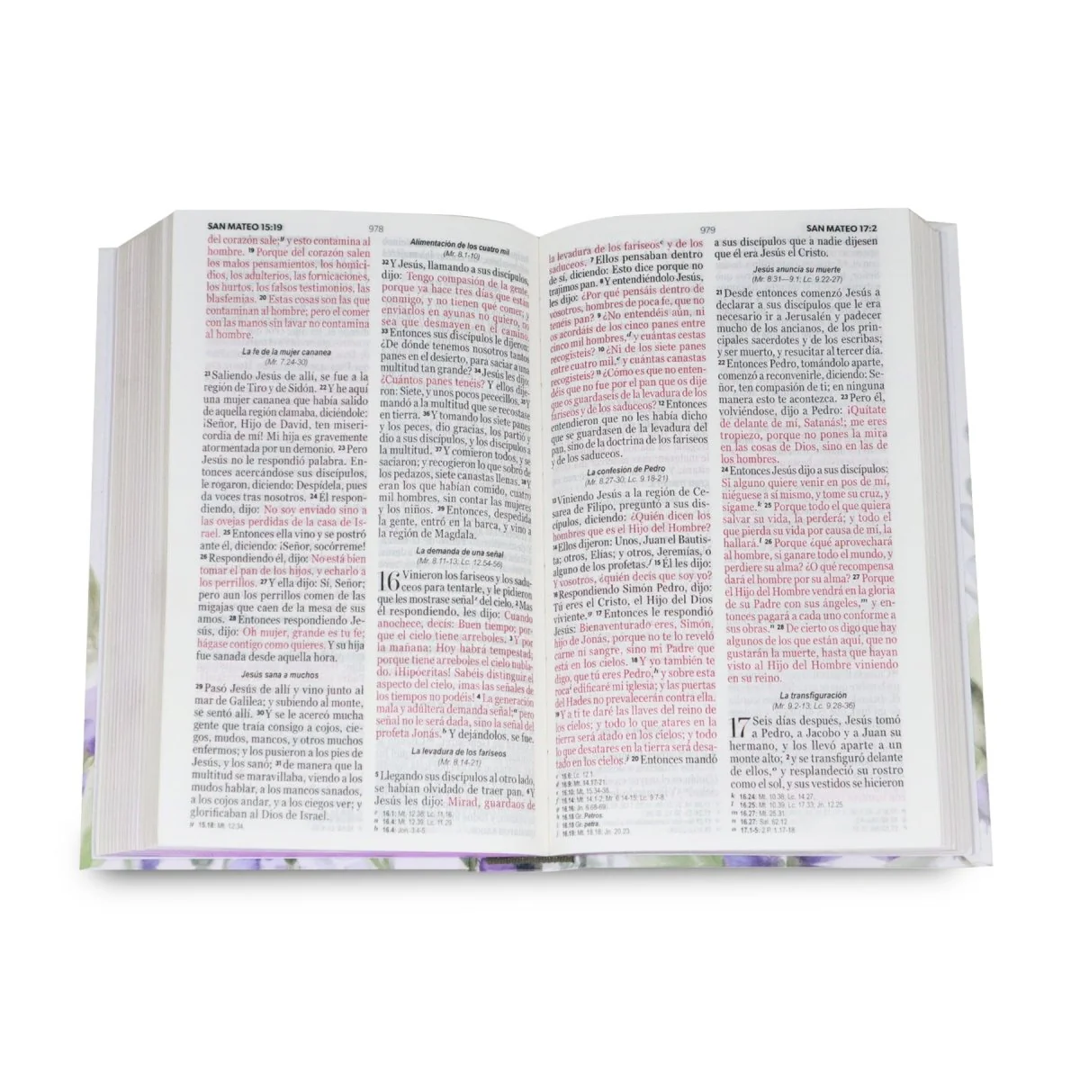 BIBLIA RVR1960 MANUAL LETRA GRANDE TAPA DURA MULTIBRISA /TELA