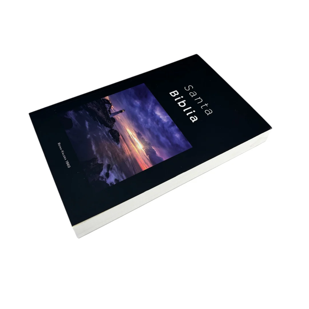 BIBLIA REINA VALERA 1960 ECONOMICA RUSTICA DISEÑOS