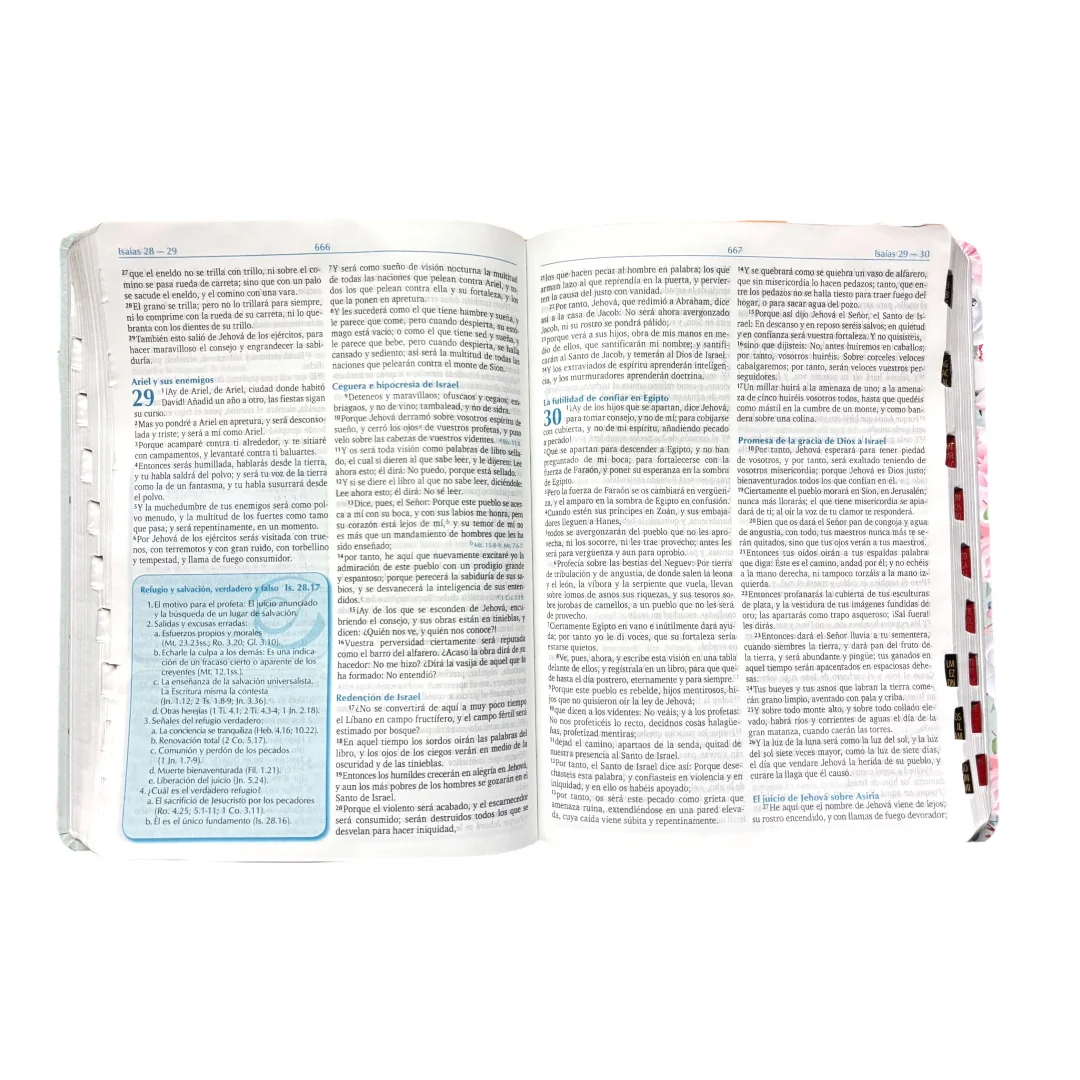 BIBLIA DE ESTUDIO PARA LA PREDICACION REINA VALERA 1960  AQUA FLORES