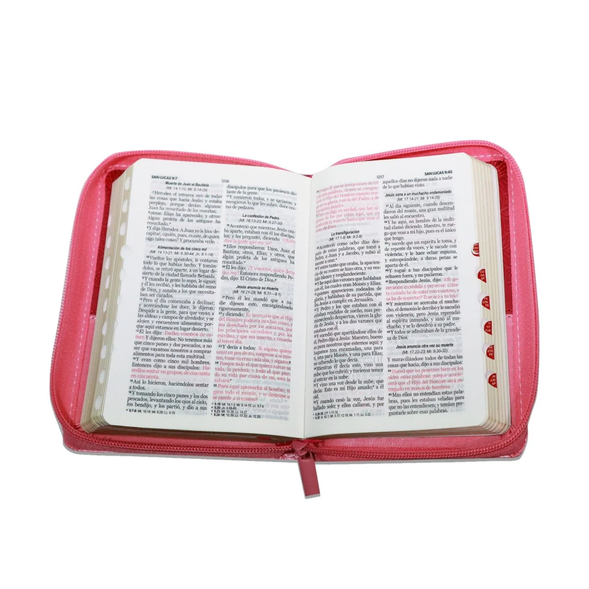 BIBLIA REINA VALERA 1960 TAMAÑO BOLSILLO BIFLORAL CIERRE INDICE