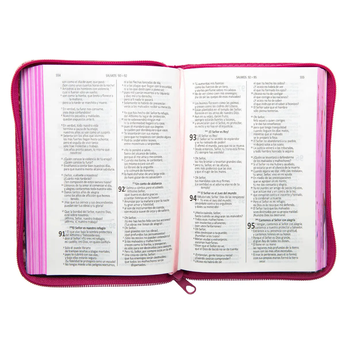 BIBLIA DIOS HABLA HOY VALIENTES CON JESUS ACOLCHONADA  ROSA