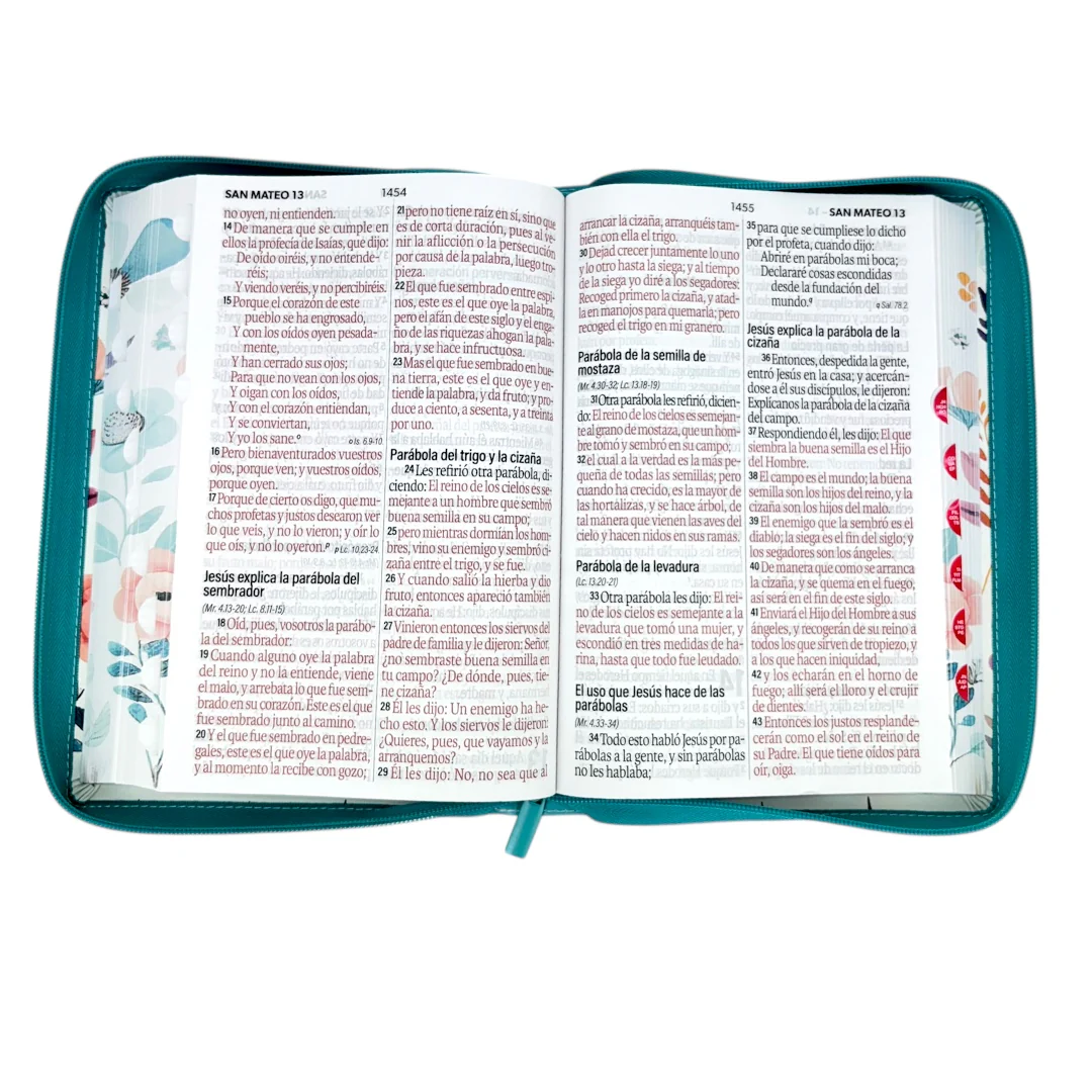 BIBLIA REINA VALERA 1960 SÚPER GIGANTE JARDIN CANTO PINTADO  C/CIERRE INDICE  IMIT PIEL DE ALTA CALIDAD