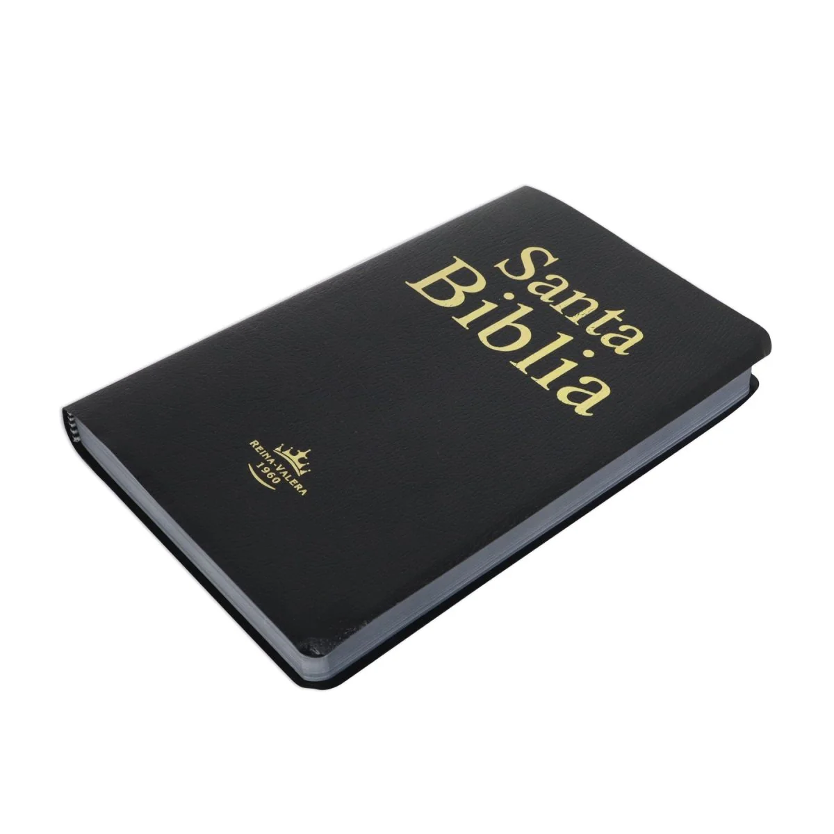 Santa Biblia Reina Valera 1960 Imitación Piel