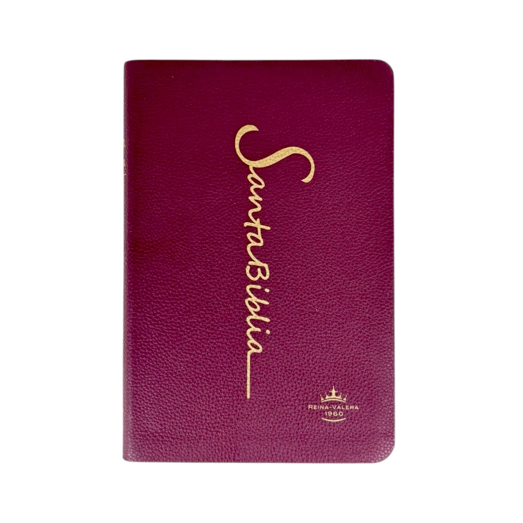BIBLIA REINA VALERA 1960 MEDIANA LETRA GRANDE IMITACION PIEL CANTO DORADO