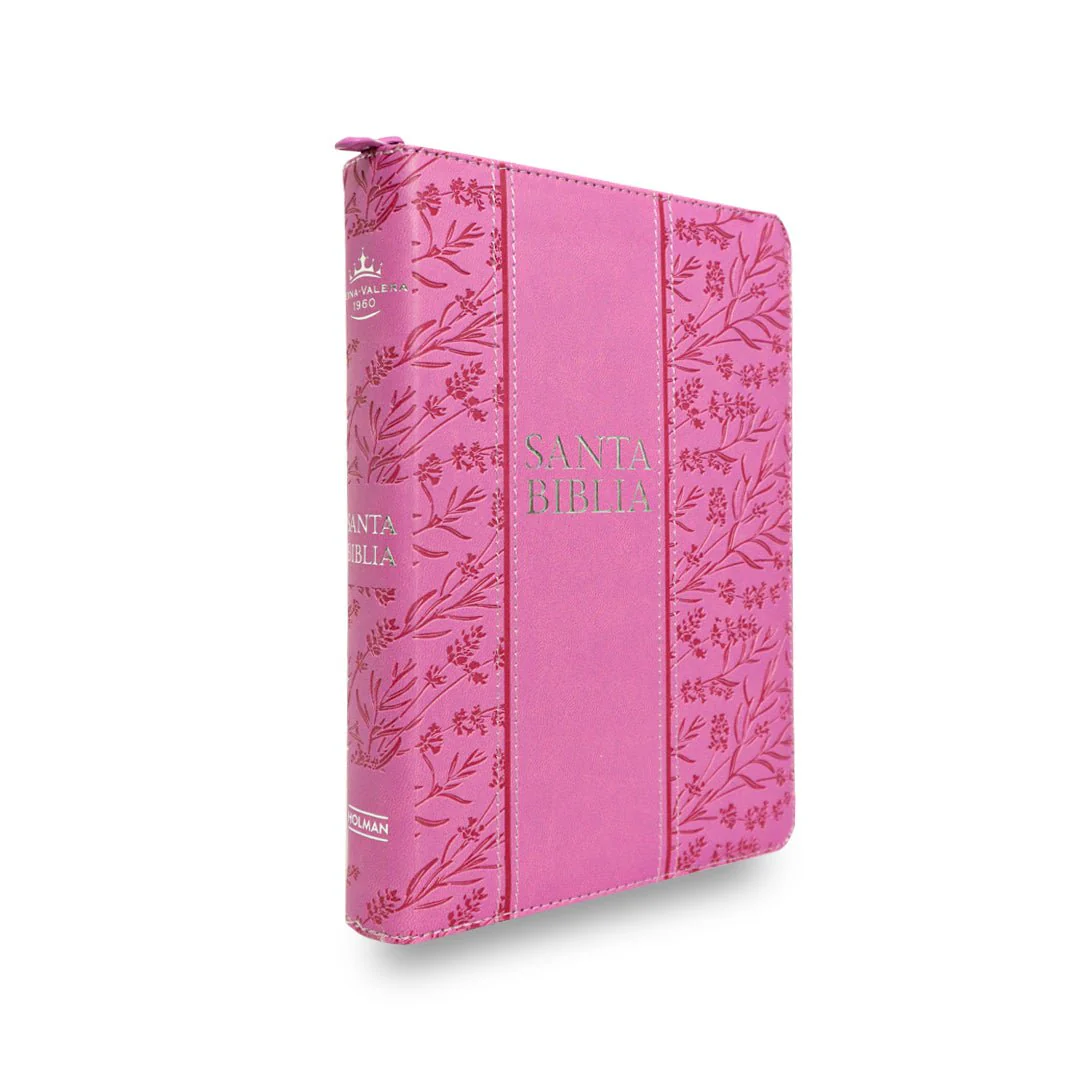BIBLIA REINA VALERA 1960 TAMAÑO MANUAL LETRA GRANDE EDICIÓN LIMITADA (2TONOS)