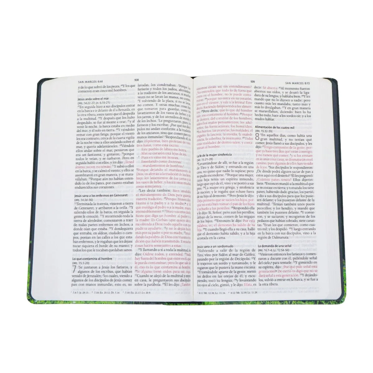 BIBLIA REINA VALERA 1960  CON LOS NOMBRES DE DIOS CORDERO TAPA DURA