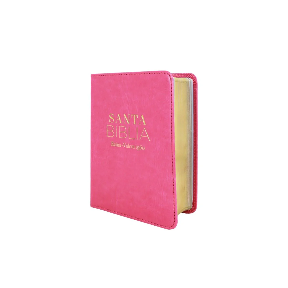 BIBLIA REINA VALERA 1960 TAMAÑO BOLSILLO IMIT PIEL CLASICA FUCSIA