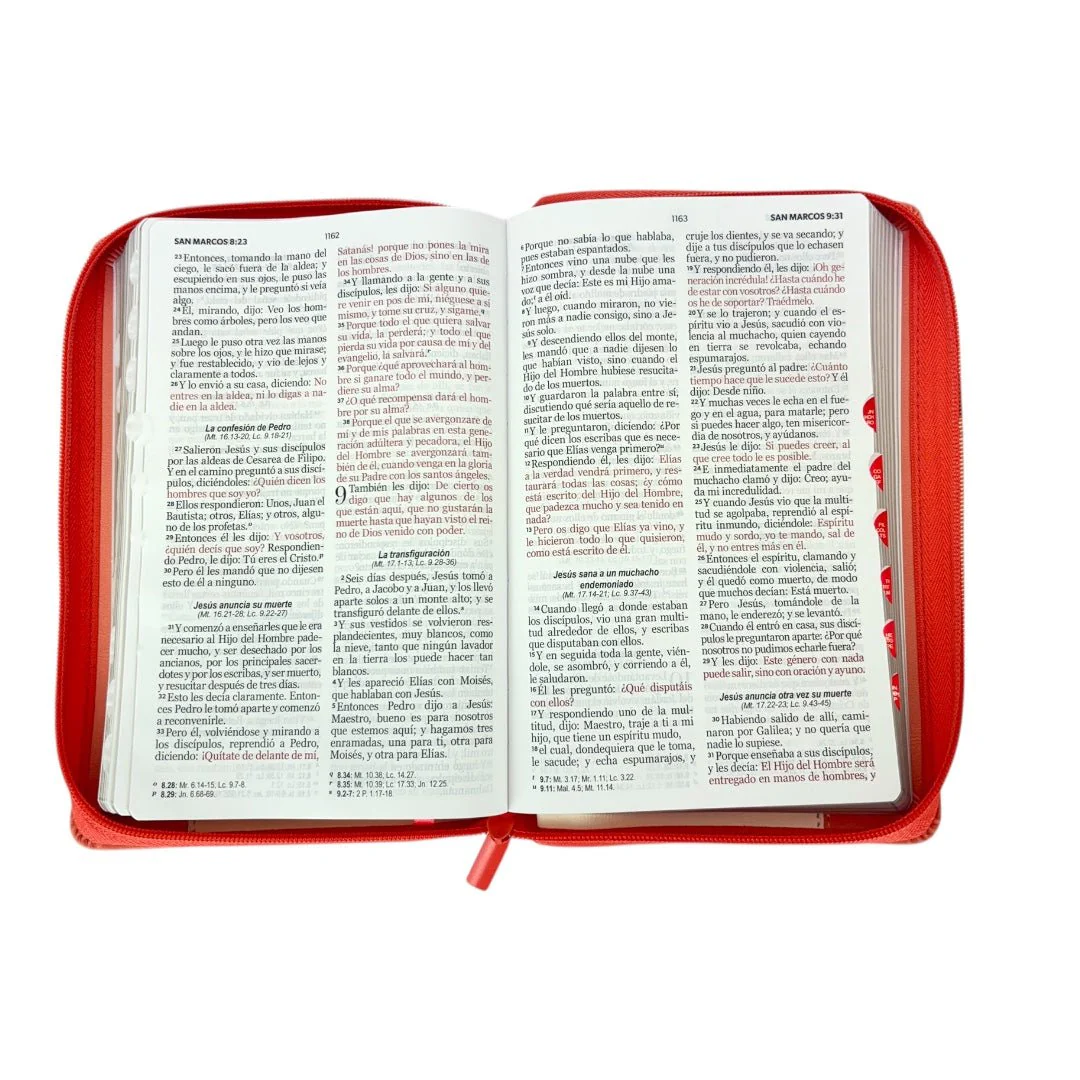 BIBLIA REINA VALERA 1960 LETRA GRANDE IMITACION PIEL BLANCO/CORAL PAJARITOS