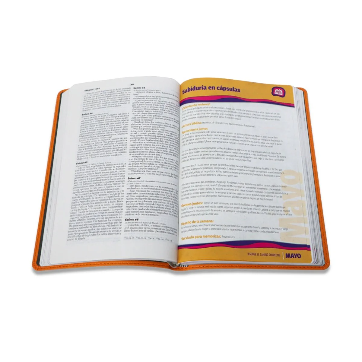 BIBLIA DEVOCIONAL FAMILIAR