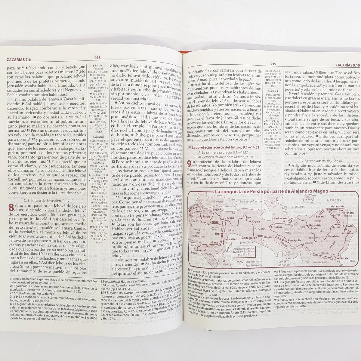 Biblia de Estudio Ryrie Ampliada Tapa dura