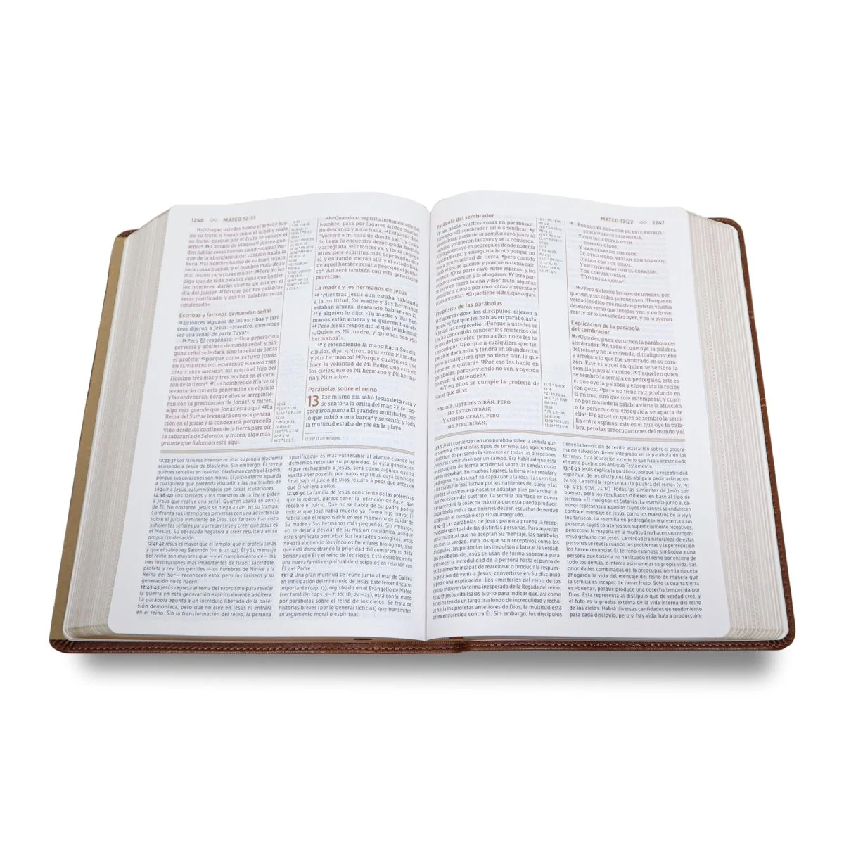 BIBLIA DE ESTUDIO NBLA GRACIA Y VERDAD