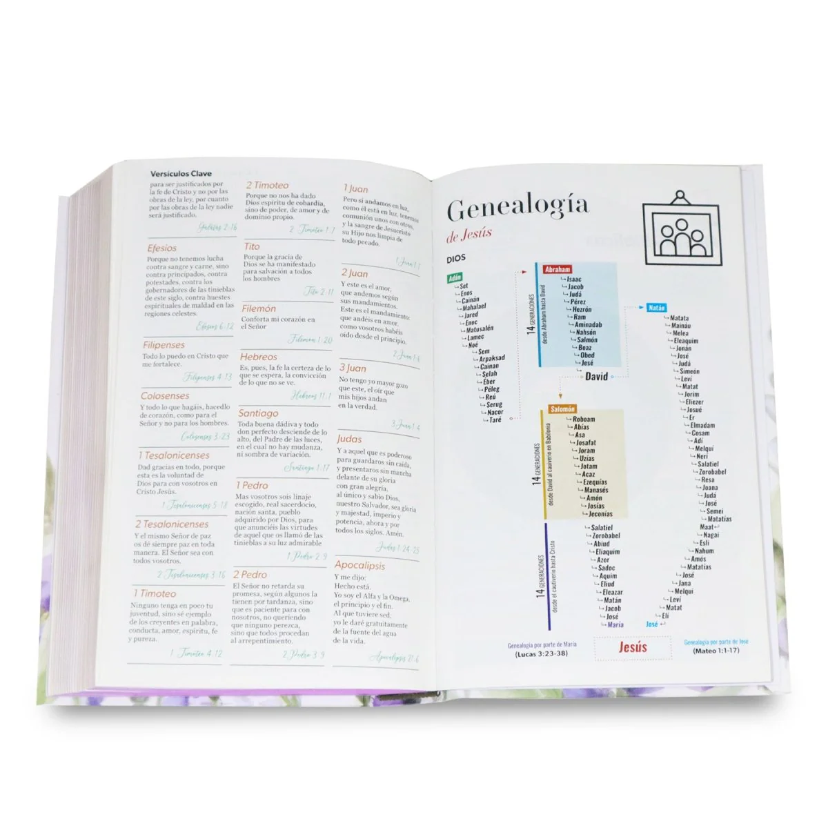 BIBLIA RVR1960 MANUAL LETRA GRANDE TAPA DURA MULTIBRISA /TELA