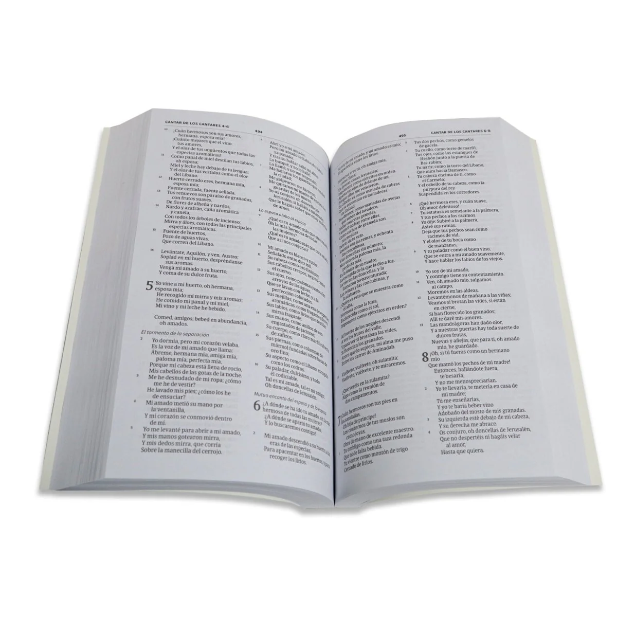 BIBLIA HOLMAN REINA VALERA 1960 ECONOMICA AZUL TAPA RUSTICA