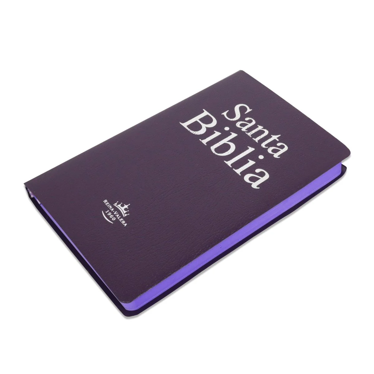 Santa Biblia Reina Valera 1960 Imitación Piel