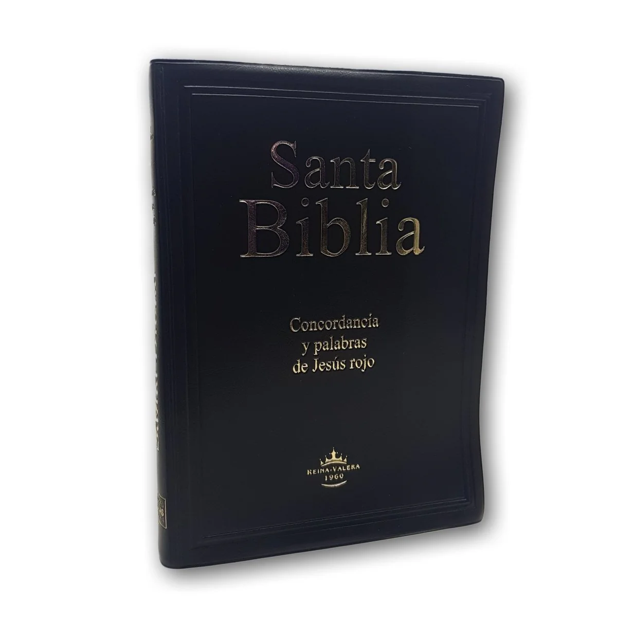 Santa Biblia RVR 1960 Letra Gigante Vinil Colores